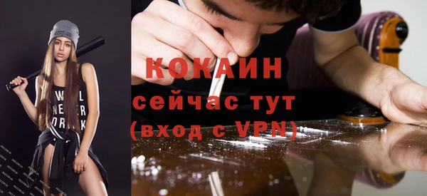 сатива Нягань