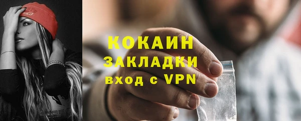 сатива Нягань
