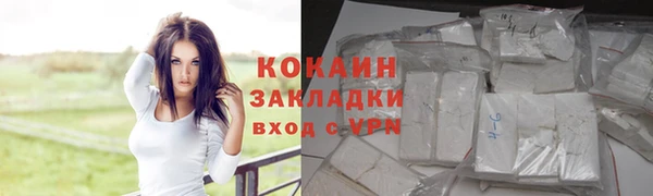 сатива Нягань