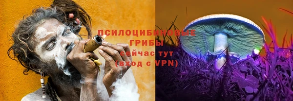 марки lsd Нязепетровск