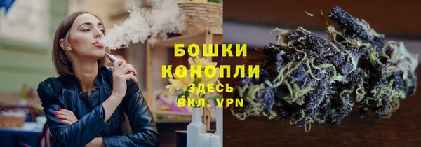 сатива Нягань